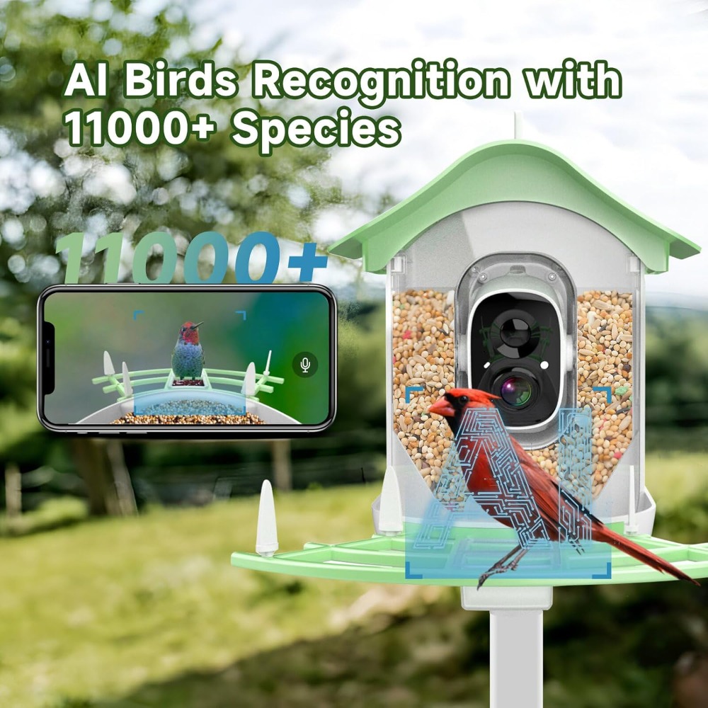 Solar Powered Smart Bird Feede - Smart Bird Feeder Camera reseña y precio