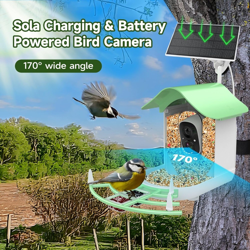 Solar Powered Smart Bird Feede - Smart Bird Feeder Camera reseña y precio