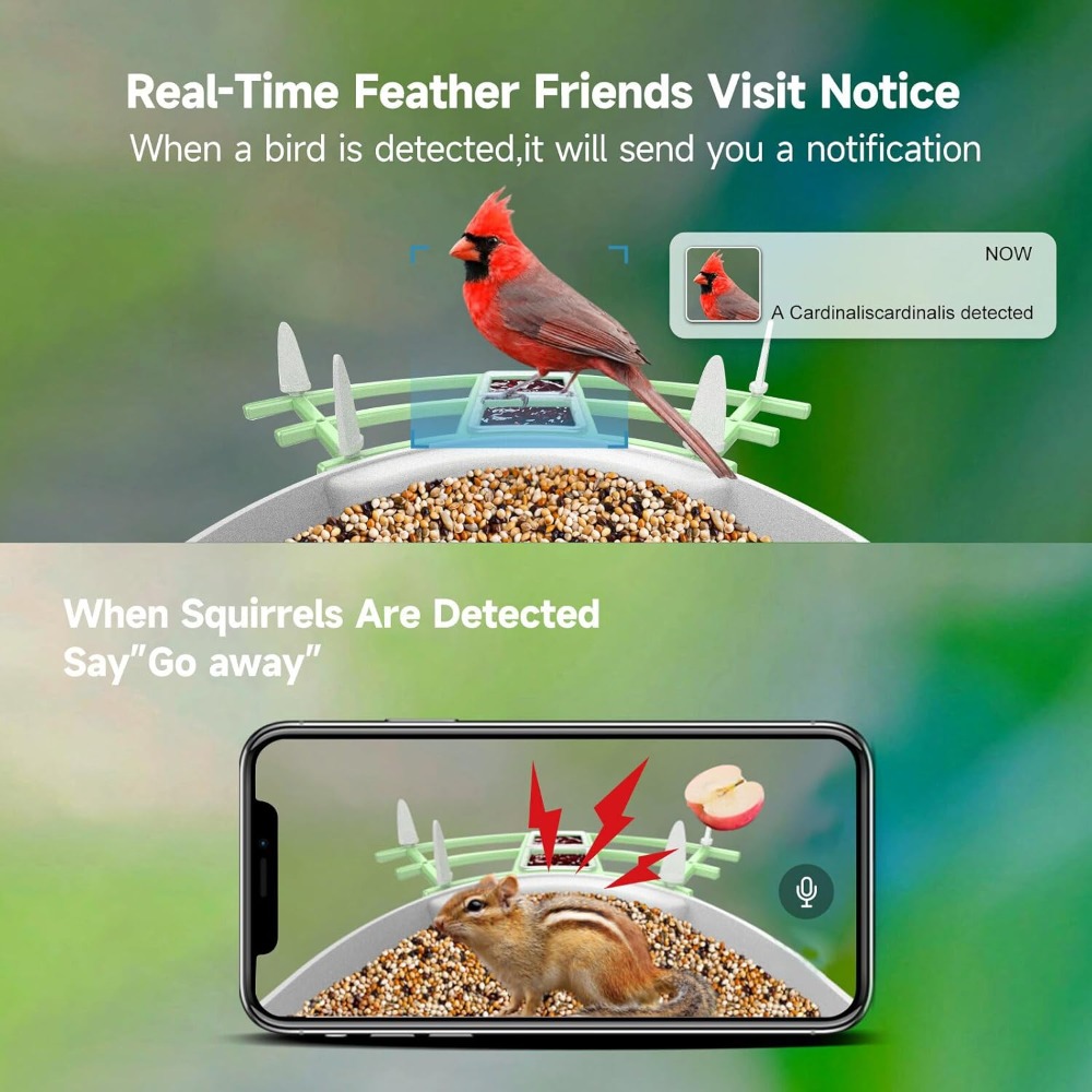 Solar Powered Smart Bird Feede - Smart Bird Feeder Camera reseña y precio
