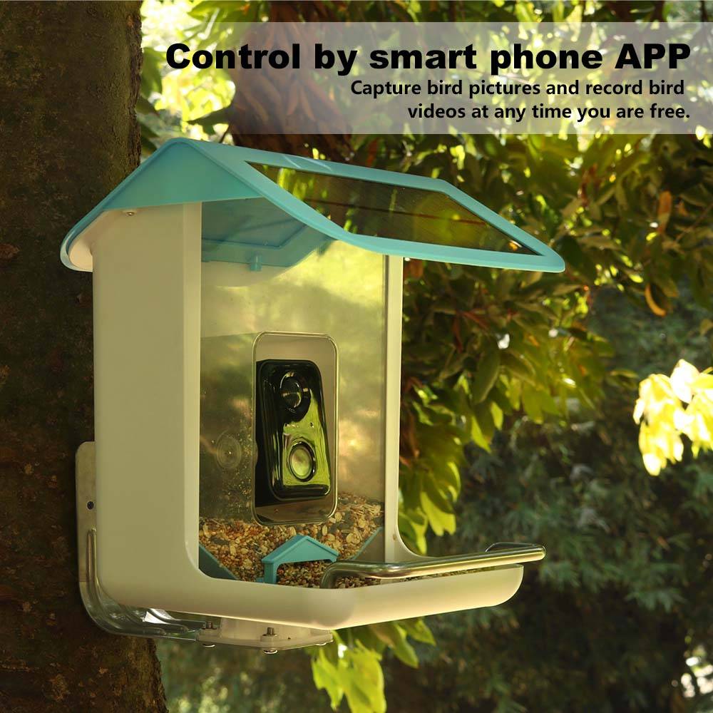 Outdoor Wildlife Wifi Camera C - Smart Bird Feeder Camera reseña y precio