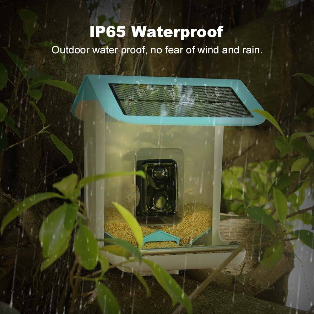 Outdoor Wildlife Wifi Camera C - Smart Bird Feeder Camera reseña y precio