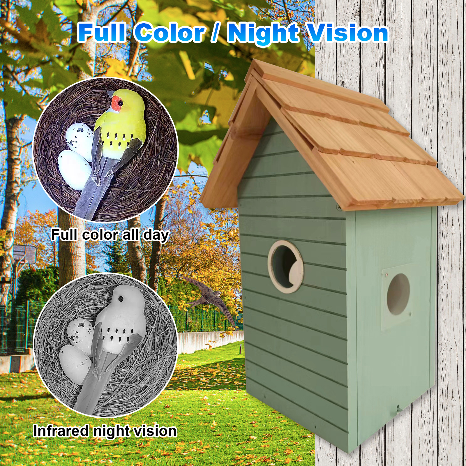 Factory Price 3MP Smart Bird F - Smart Bird Feeder Camera reseña y precio