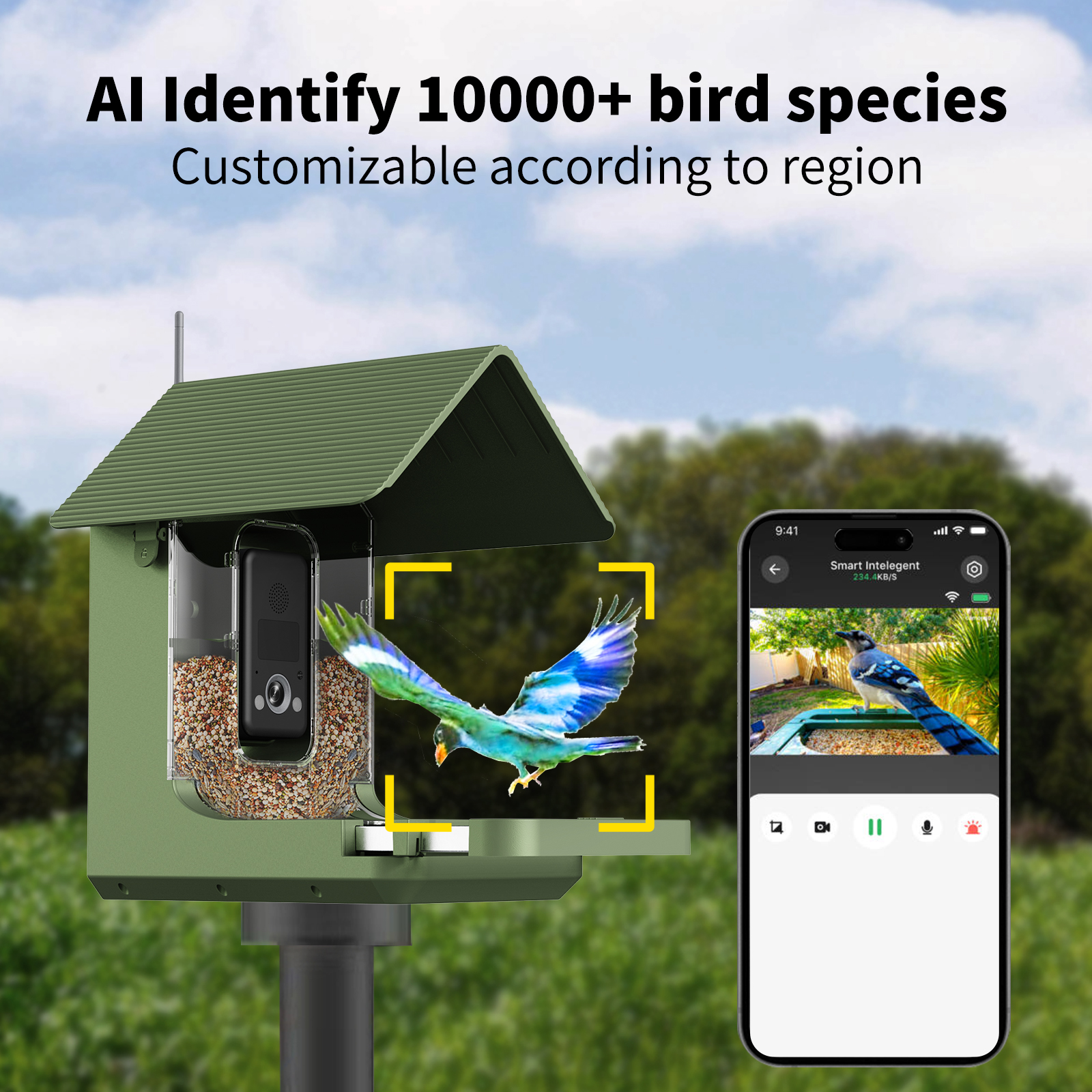 Willfine 0.4S Trigger Speed AI - Smart Bird Feeder Camera reseña y precio
