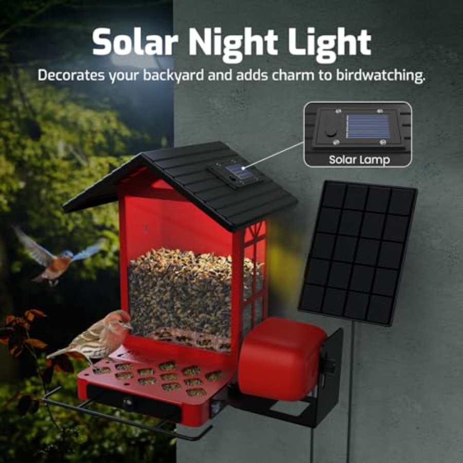 Outdoor smart bird feeder came - Smart Bird Feeder Camera reseña y precio