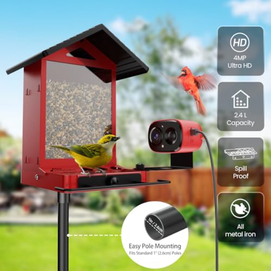 Outdoor smart bird feeder came - Smart Bird Feeder Camera reseña y precio