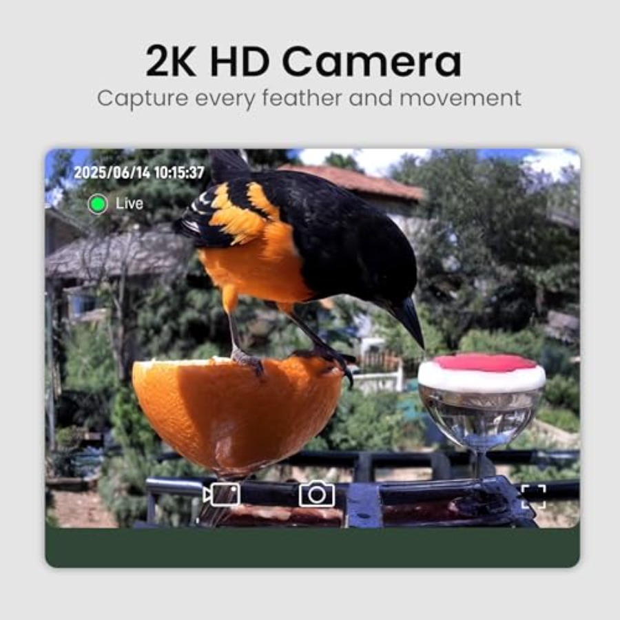 Smart Bird Feeder with Camera: - Smart Bird Feeder Camera reseña y precio
