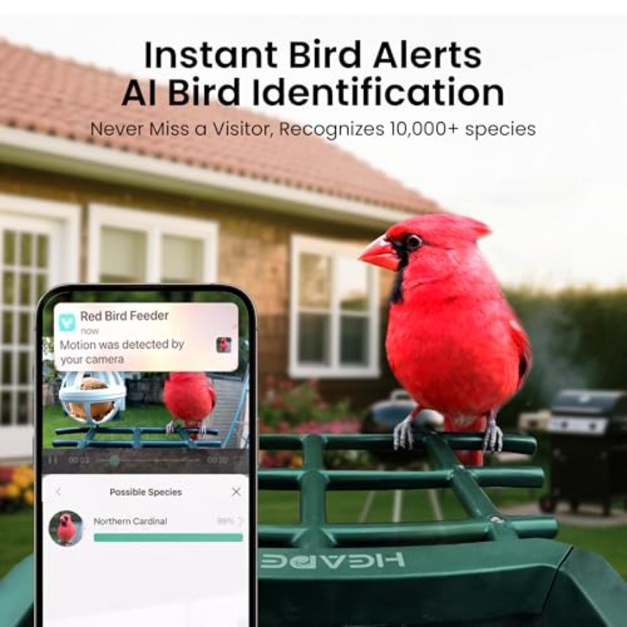 Smart Bird Feeder with Camera: - Smart Bird Feeder Camera reseña y precio