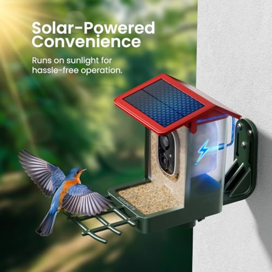 Smart Bird Feeder with Camera: - Smart Bird Feeder Camera reseña y precio