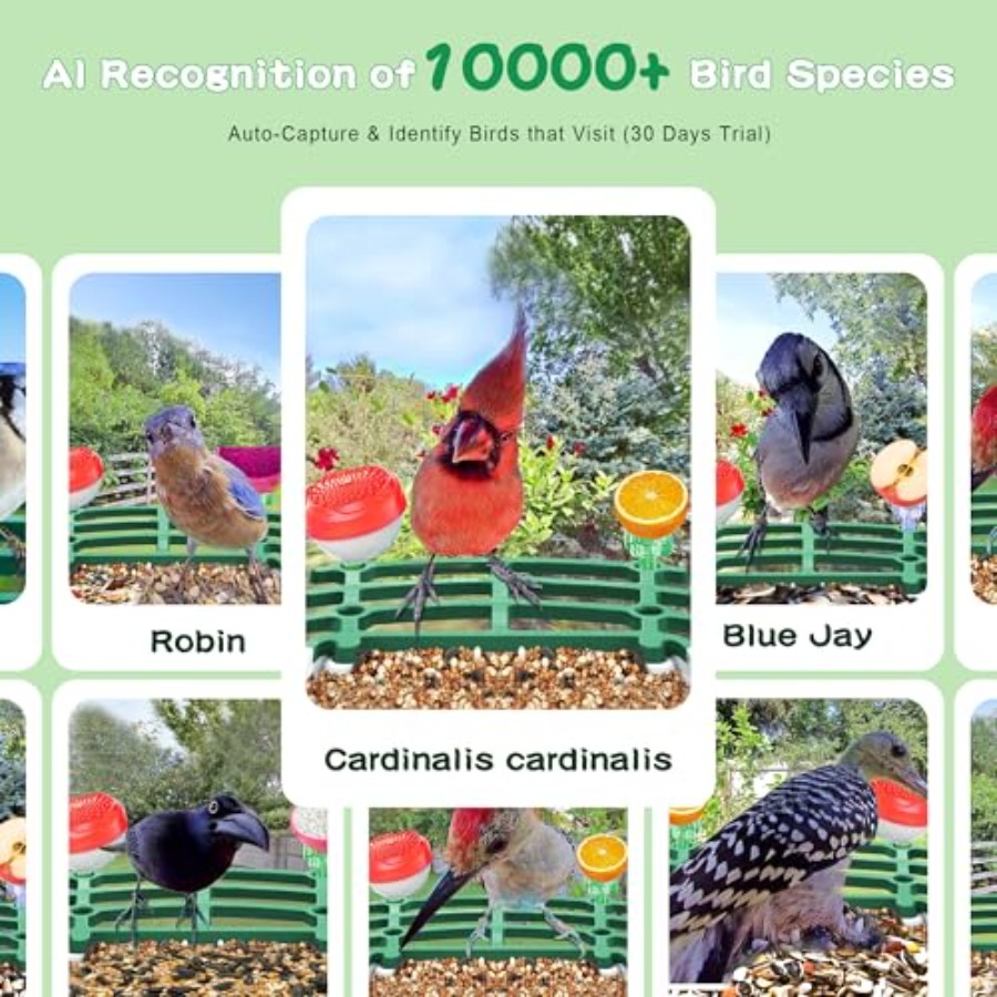 Smart AI Bird Feeder with Sola - Smart Bird Feeder Camera reseña y precio