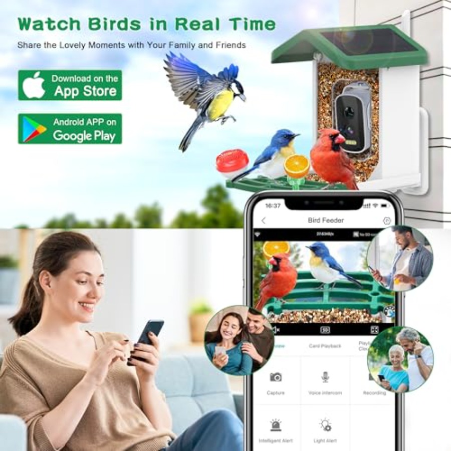 Smart AI Bird Feeder with Sola - Smart Bird Feeder Camera reseña y precio