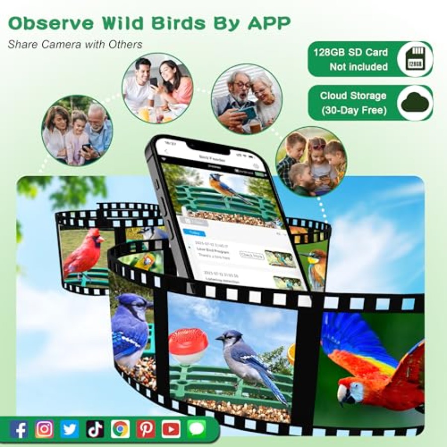 Smart AI Bird Feeder with Sola - Smart Bird Feeder Camera reseña y precio