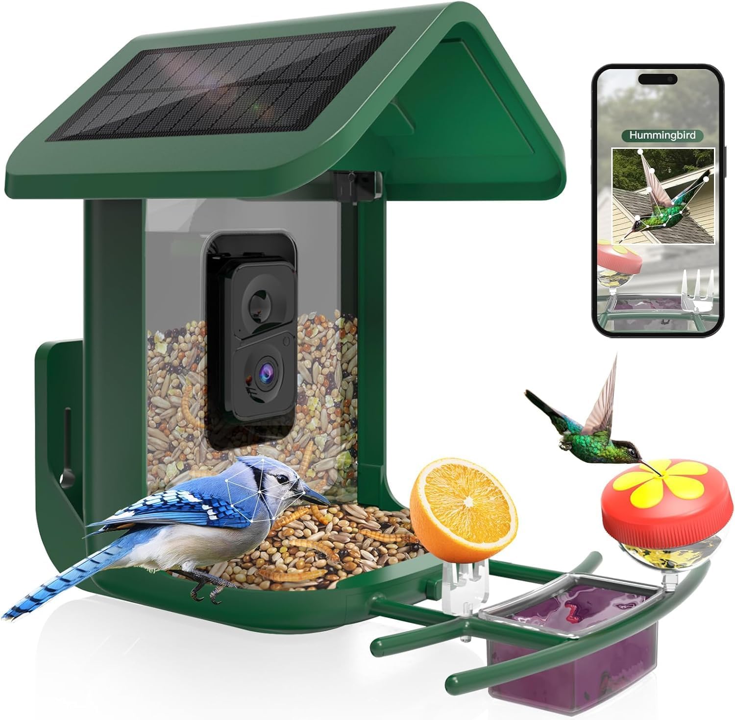 Smart Bird Feeder with Camera  - Smart Bird Feeder Camera reseña y precio