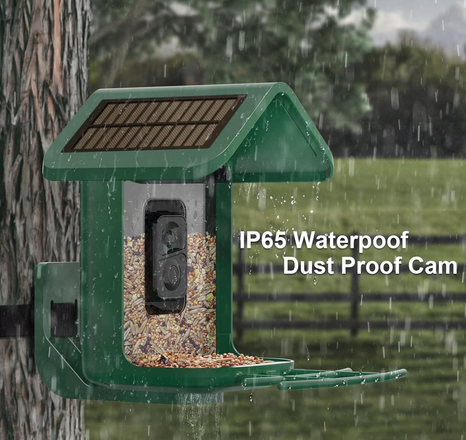 Smart Bird Feeder with Camera  - Smart Bird Feeder Camera reseña y precio