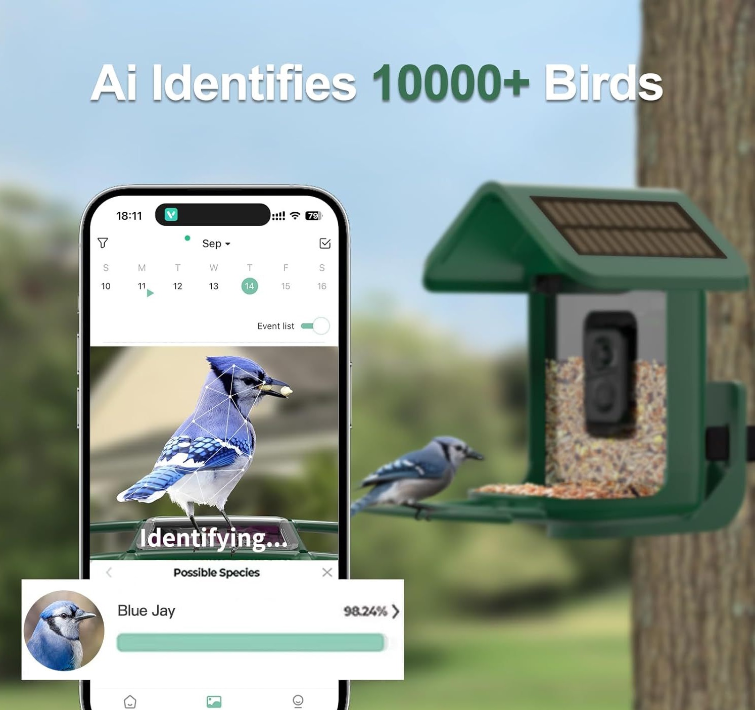 Smart Bird Feeder with Camera  - Smart Bird Feeder Camera reseña y precio