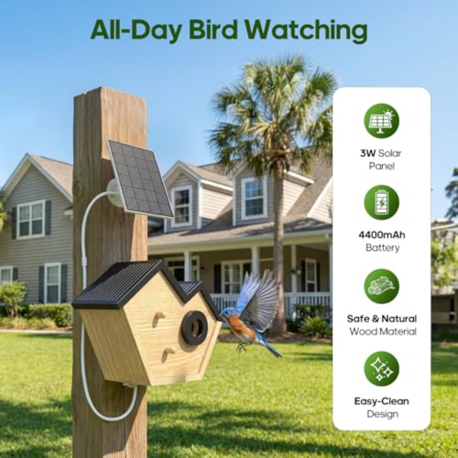 Wooden Bird House with Camera, - Smart Bird Feeder Camera reseña y precio
