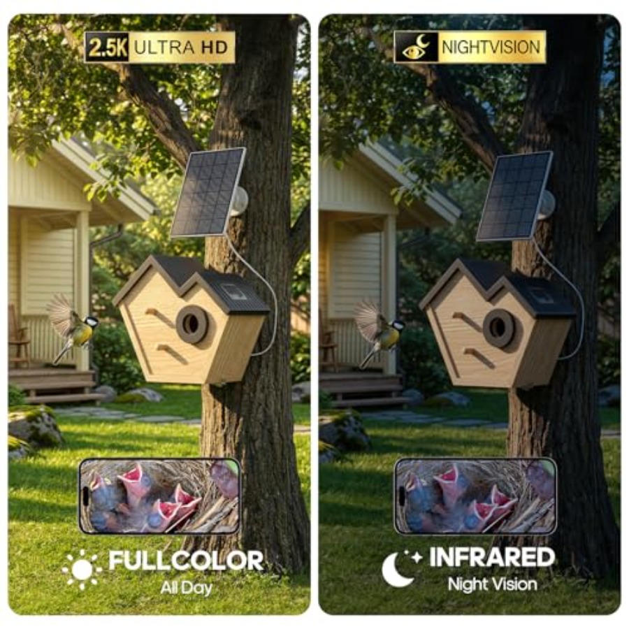 Wooden Bird House with Camera, - Smart Bird Feeder Camera reseña y precio