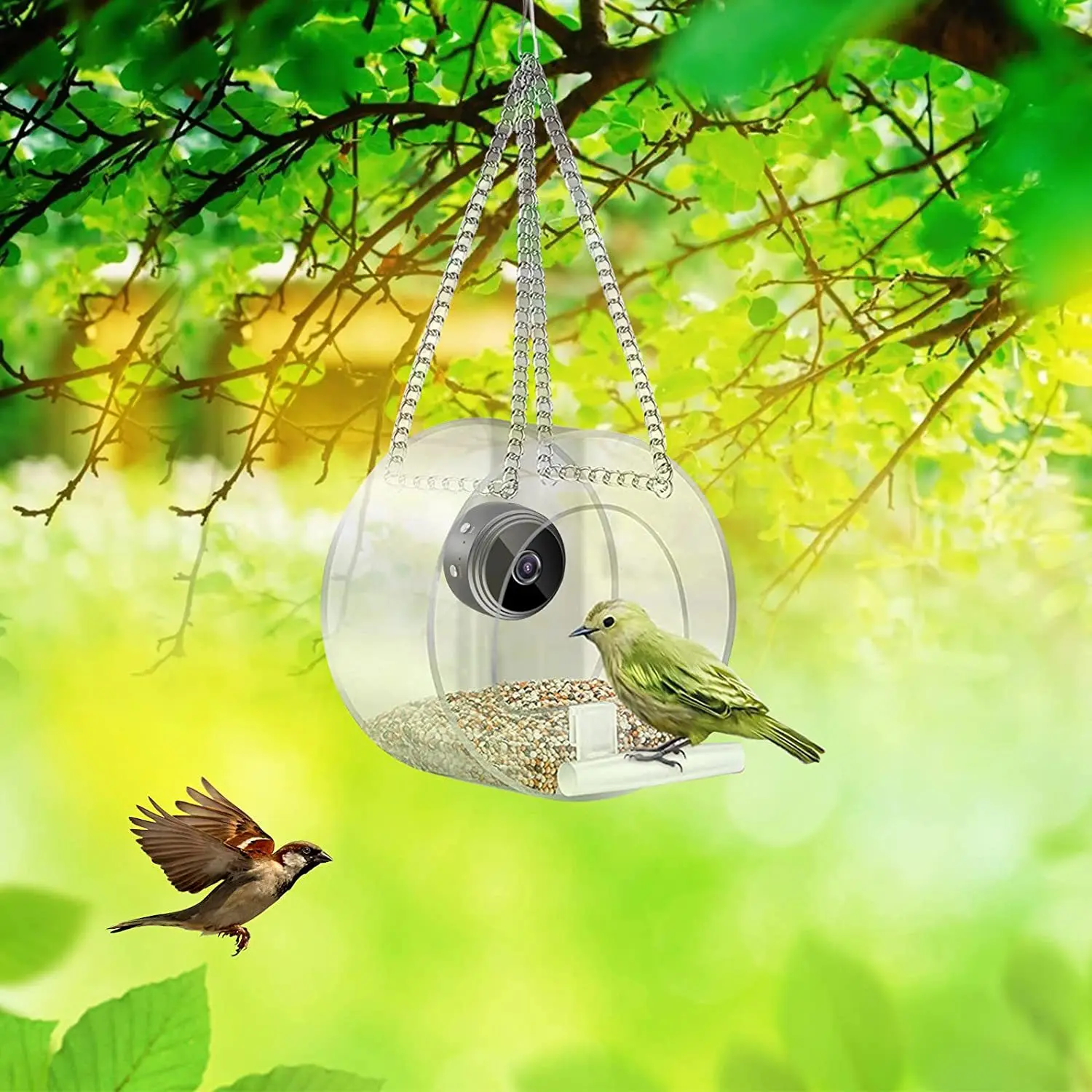2023 Smart Bird Feeder Acrylic - Smart Bird Feeder Camera reseña y precio