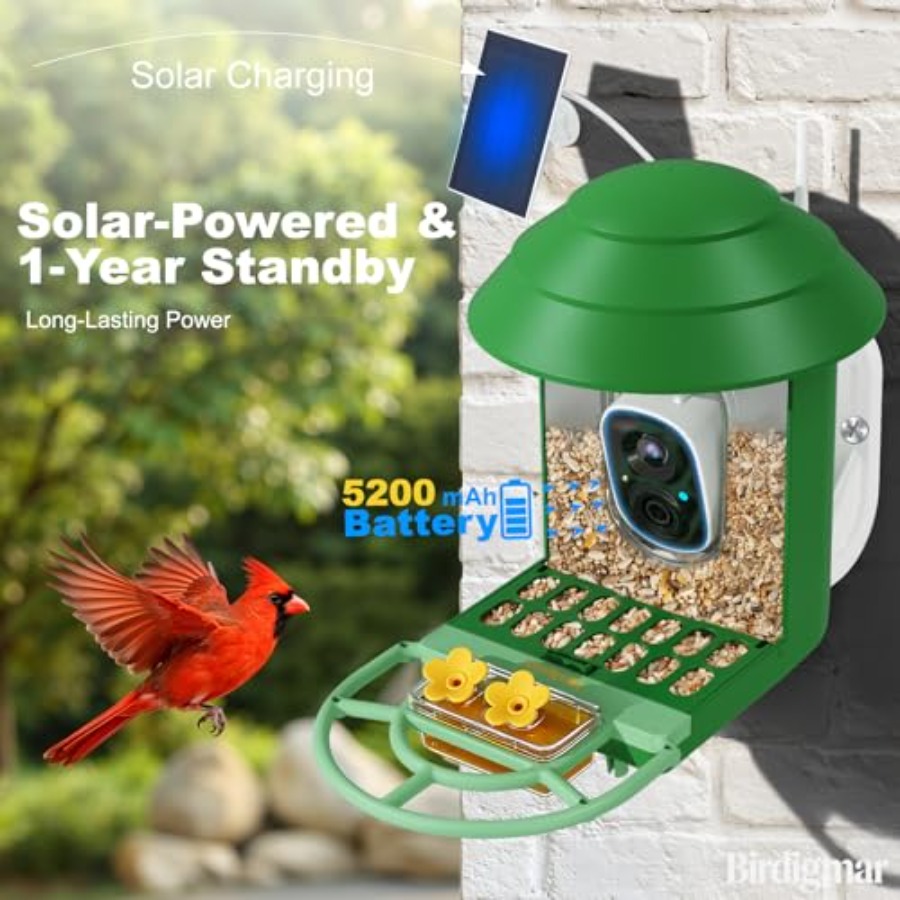 Bird Feeder with Camera for Ou - Smart Bird Feeder Camera reseña y precio