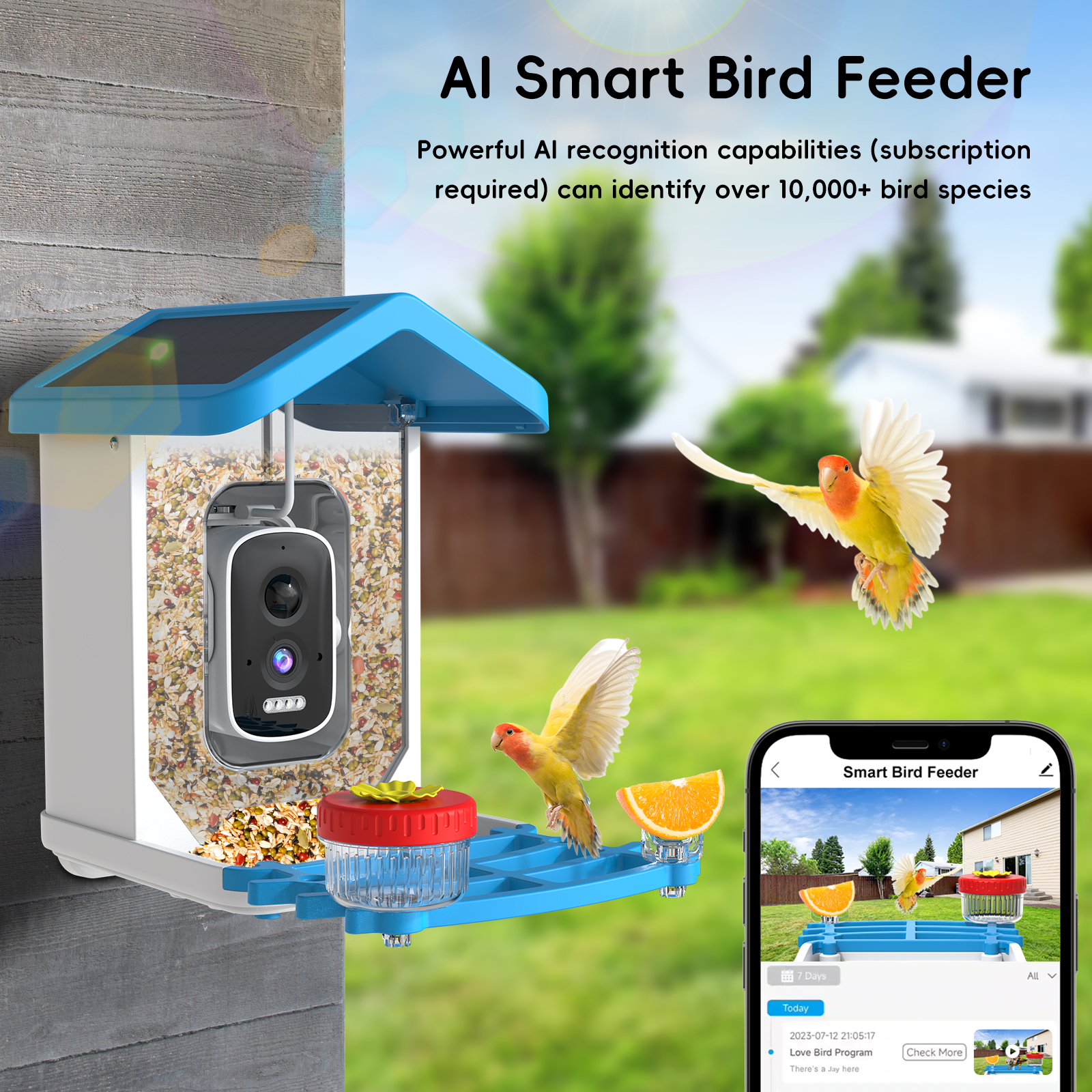 Solar Bird Feed Camera Wireles - Smart Bird Feeder Camera reseña y precio