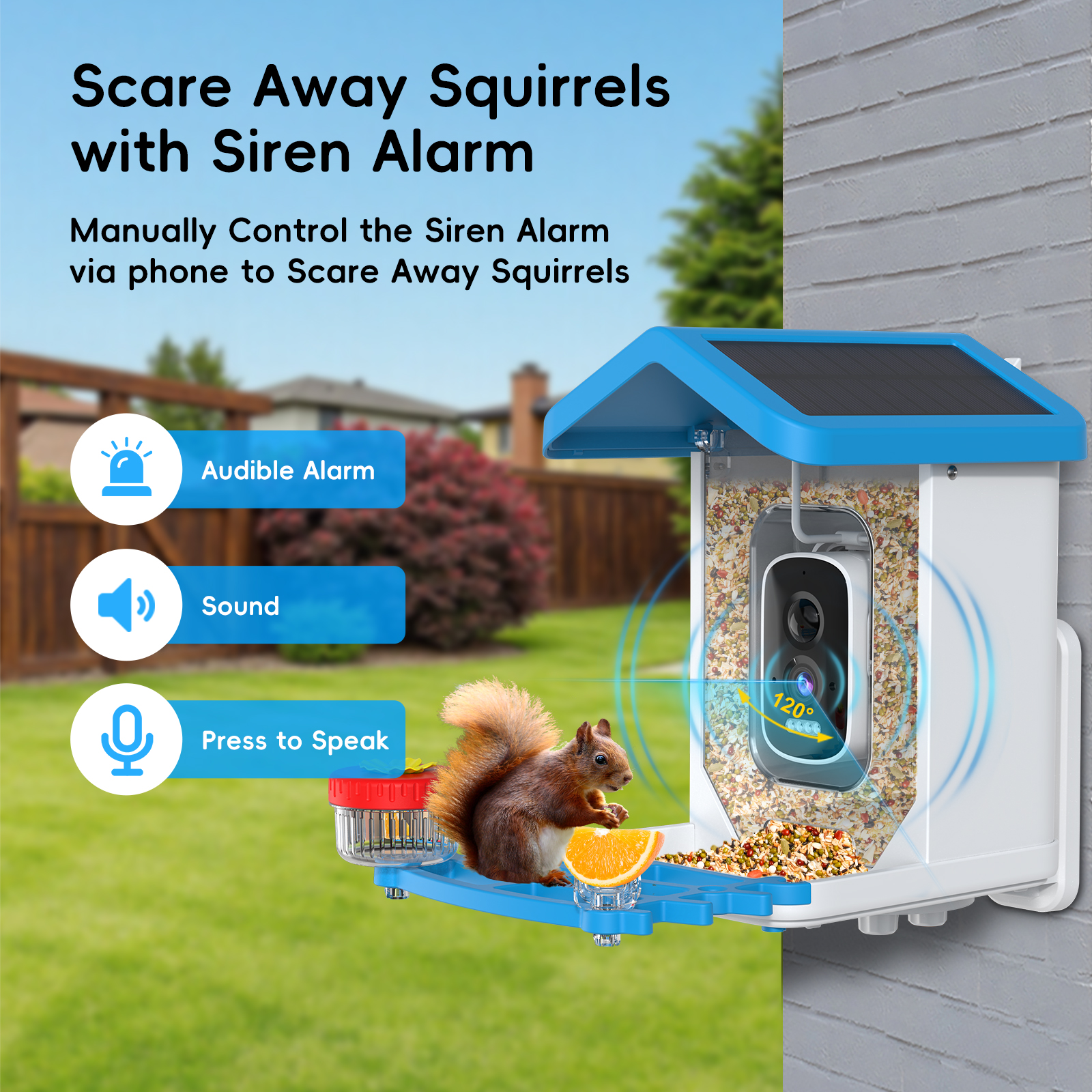 Solar Bird Feed Camera Wireles - Smart Bird Feeder Camera reseña y precio