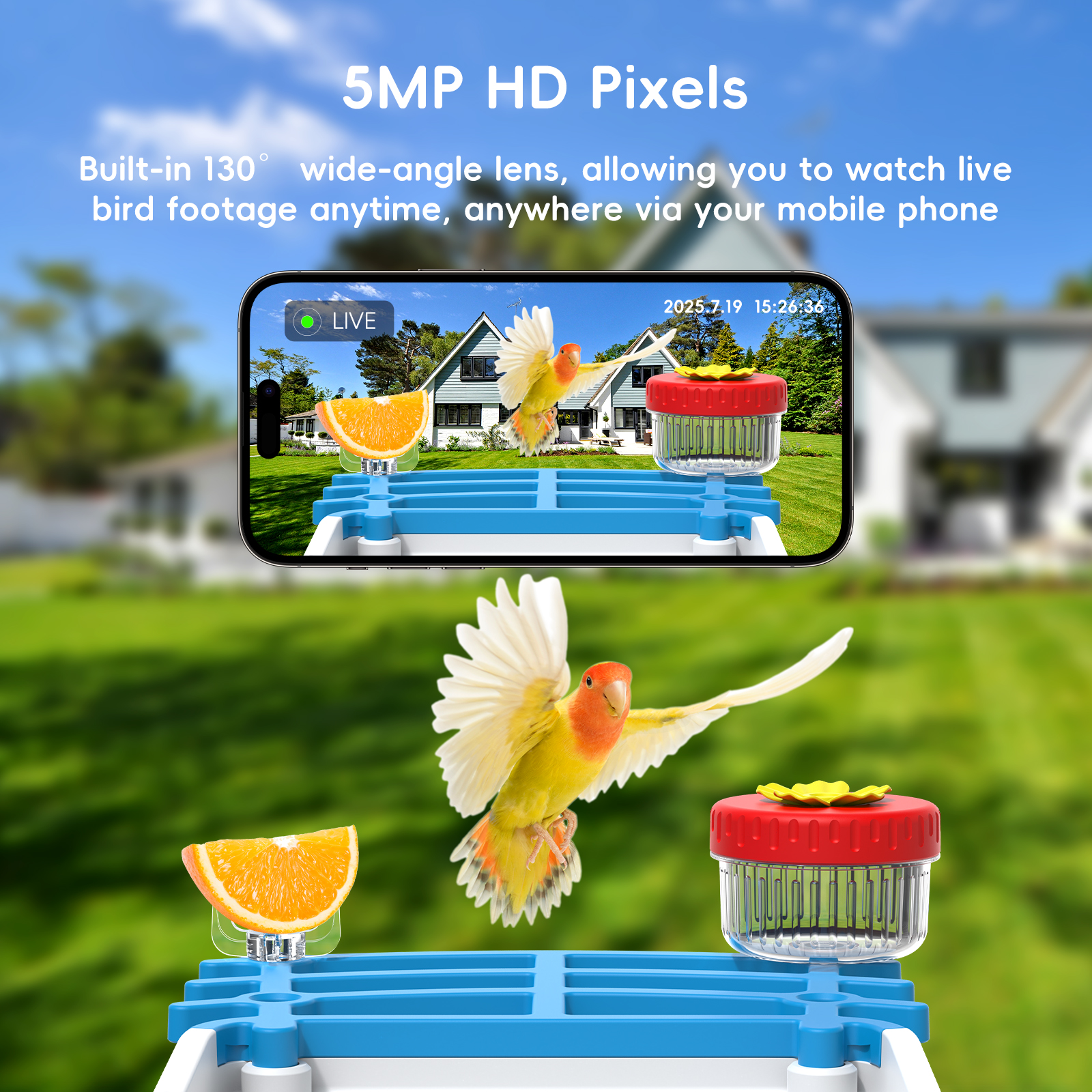 Solar Bird Feed Camera Wireles - Smart Bird Feeder Camera reseña y precio