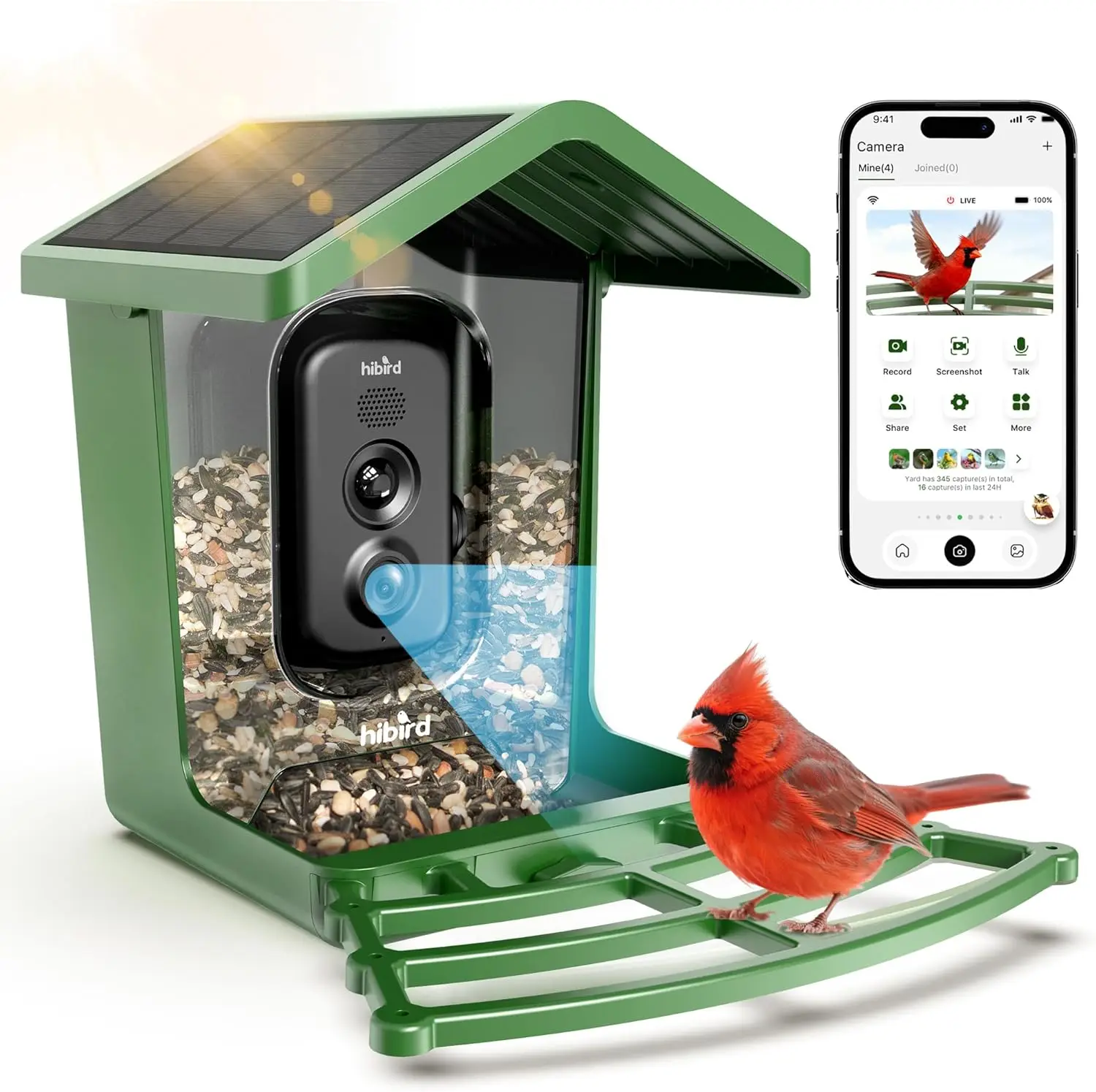 Solar Powered Smart Bird Feede - Smart Bird Feeder Camera reseña y precio