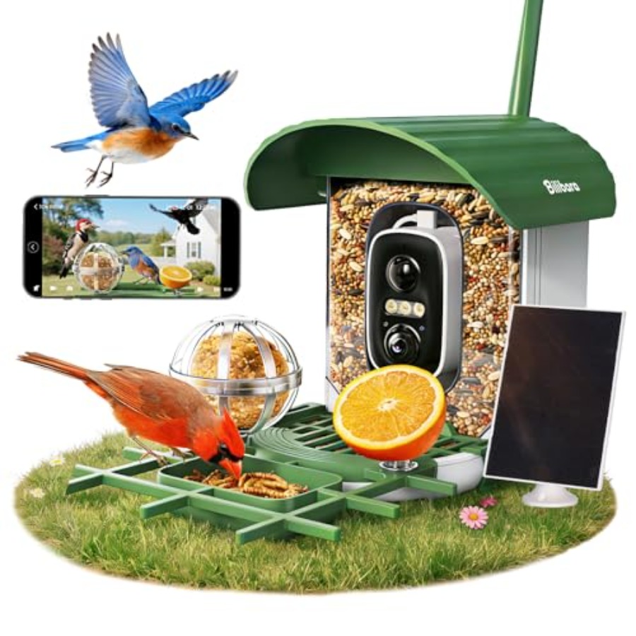 Bird Feeder with Camera 10000  - Smart Bird Feeder Camera reseña y precio