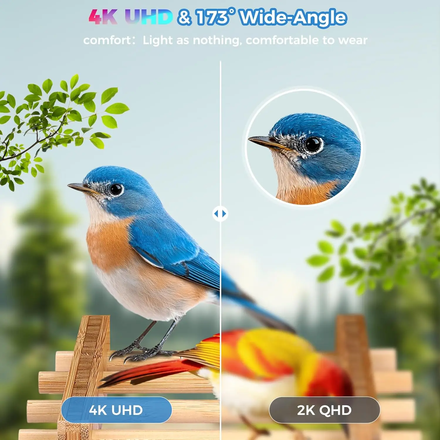 Smart Bird Feeder 4K Camera AI - Smart Bird Feeder Camera reseña y precio