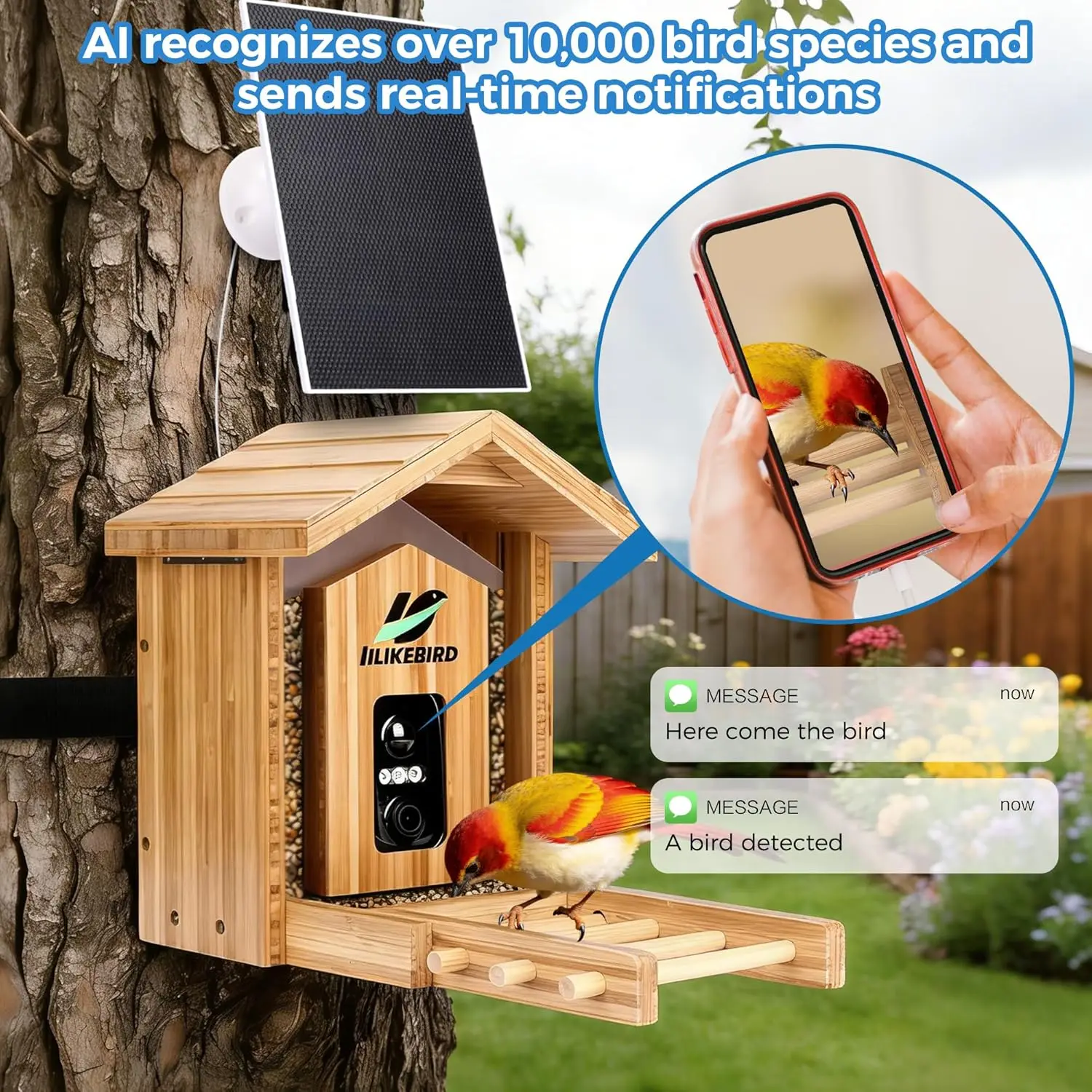 Smart Bird Feeder 4K Camera AI - Smart Bird Feeder Camera reseña y precio
