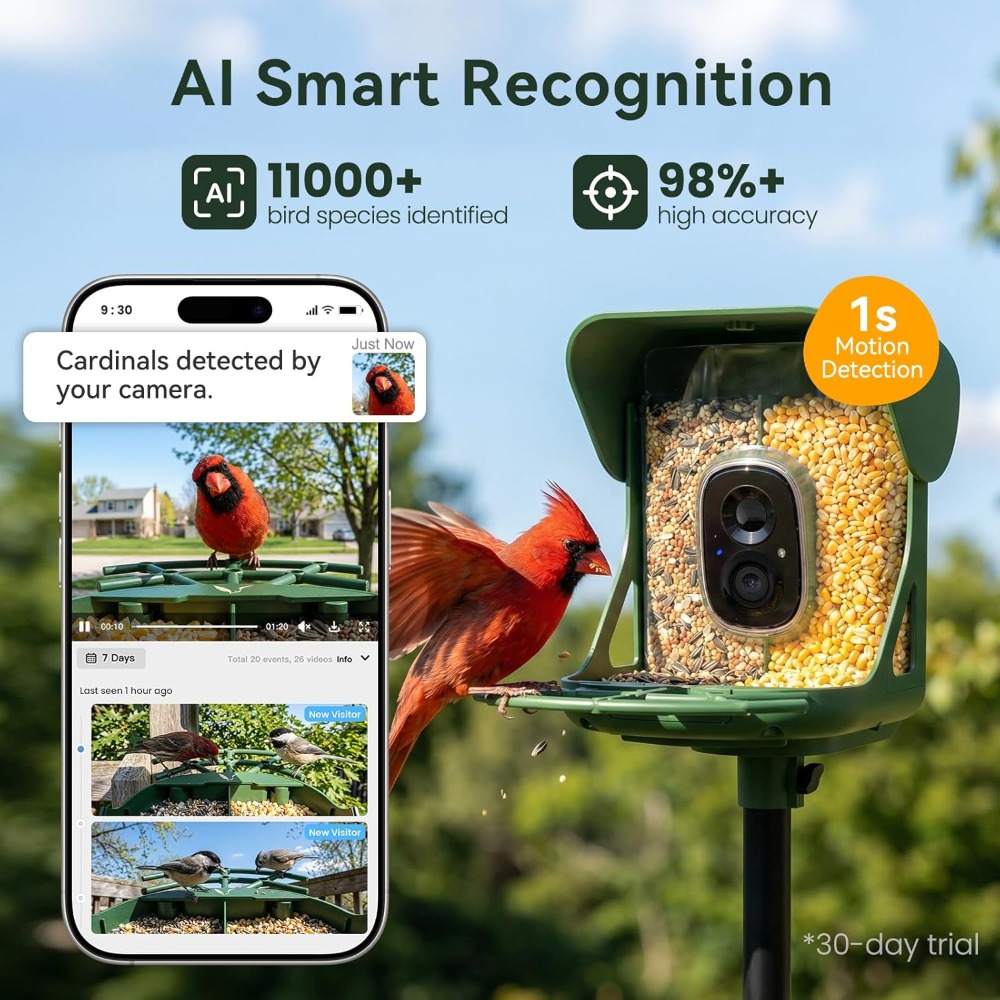 Smart Bird Feeder with Camera, - Smart Bird Feeder Camera reseña y precio