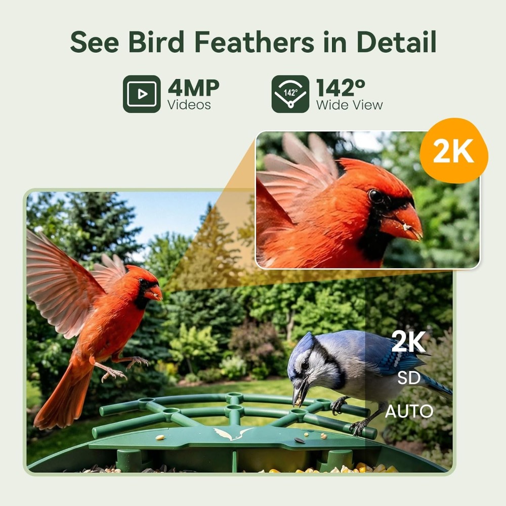 Smart Bird Feeder with Camera, - Smart Bird Feeder Camera reseña y precio