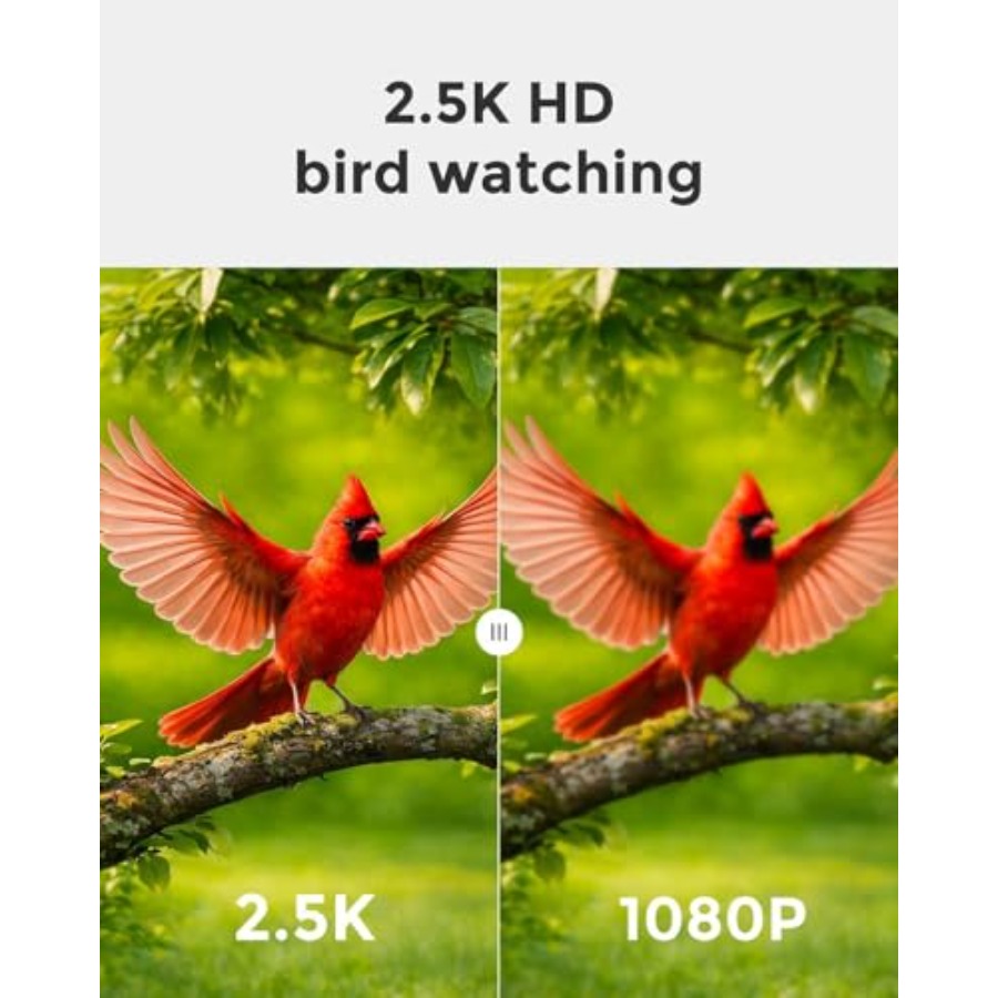 Outdoor solar-powered smart bi - Smart Bird Feeder Camera reseña y precio