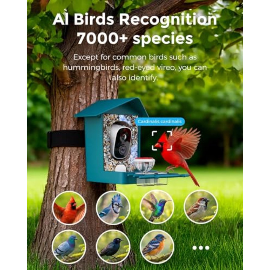 Outdoor solar-powered smart bi - Smart Bird Feeder Camera reseña y precio