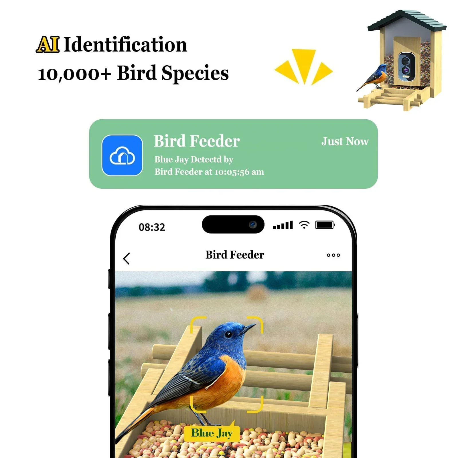 In stock Bamboo with Solar Pow - Smart Bird Feeder Camera reseña y precio