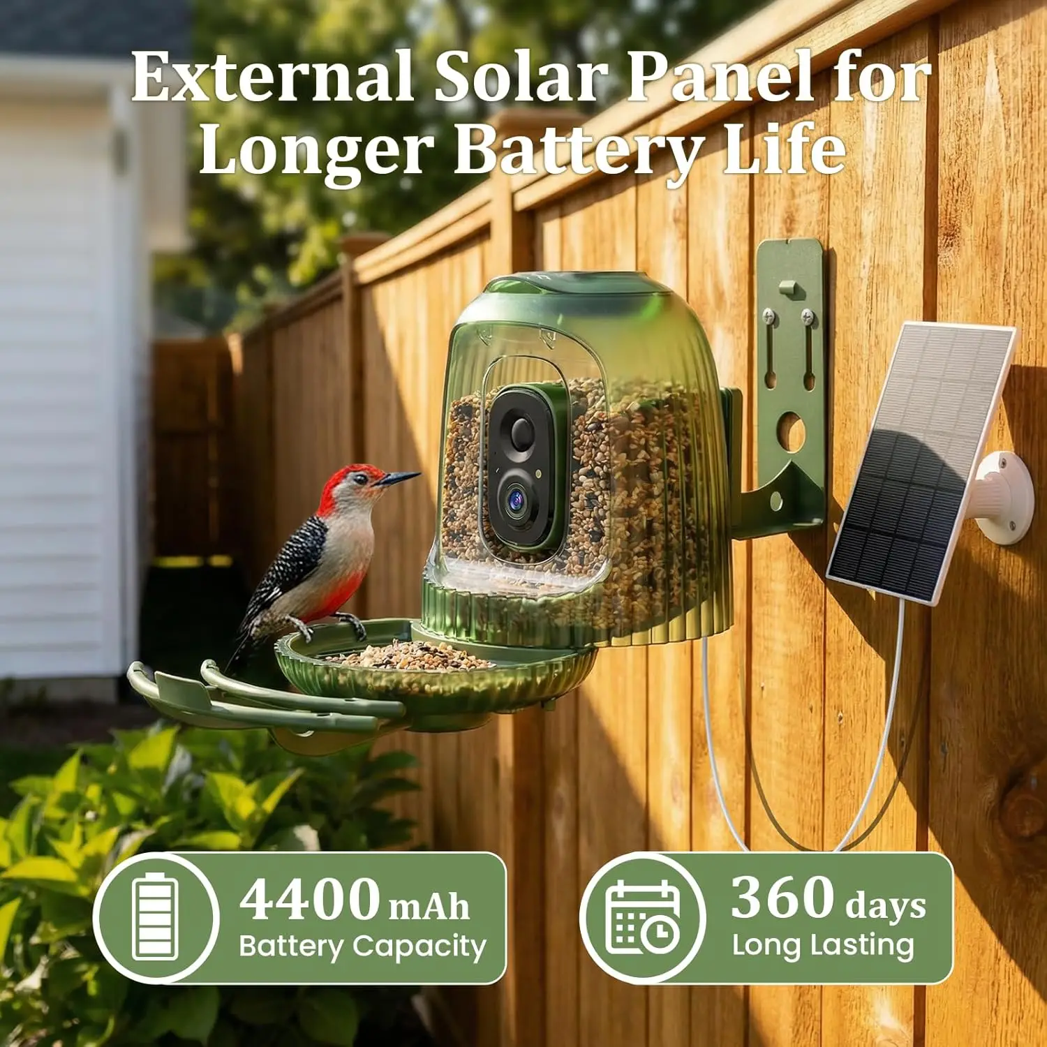 Smart Bird Feeder 4MP Camera A - Smart Bird Feeder Camera reseña y precio