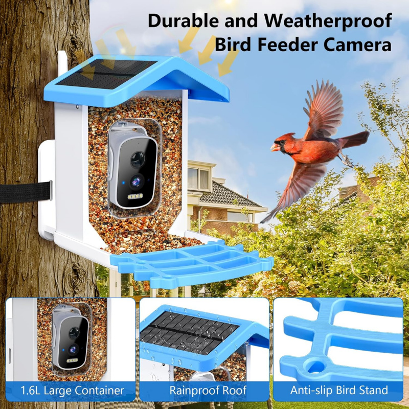 WiFi Smart Bird Feeder with Ca - Smart Bird Feeder Camera reseña y precio