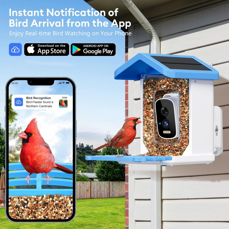 WiFi Smart Bird Feeder with Ca - Smart Bird Feeder Camera reseña y precio