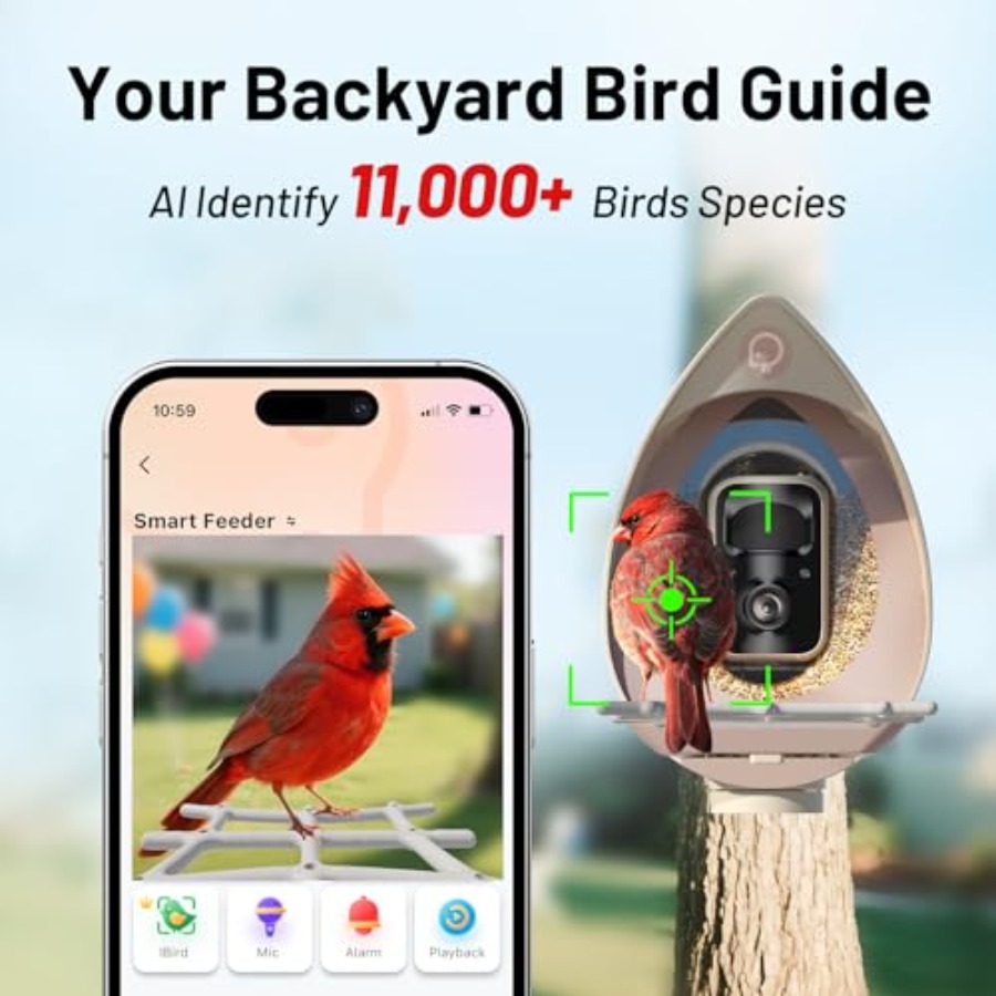 Smart Bird Feeder with Camera  - Smart Bird Feeder Camera reseña y precio