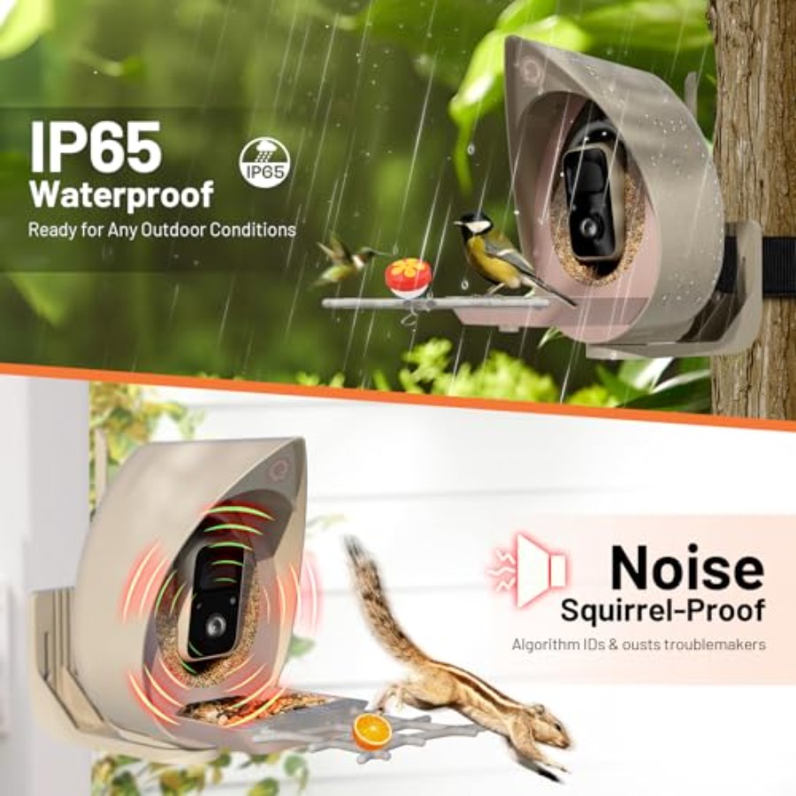 Smart Bird Feeder with Camera  - Smart Bird Feeder Camera reseña y precio