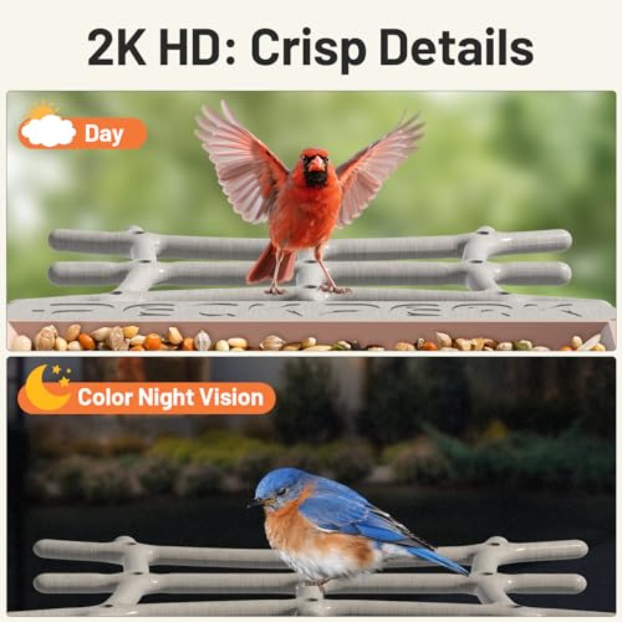 Smart Bird Feeder with Camera  - Smart Bird Feeder Camera reseña y precio