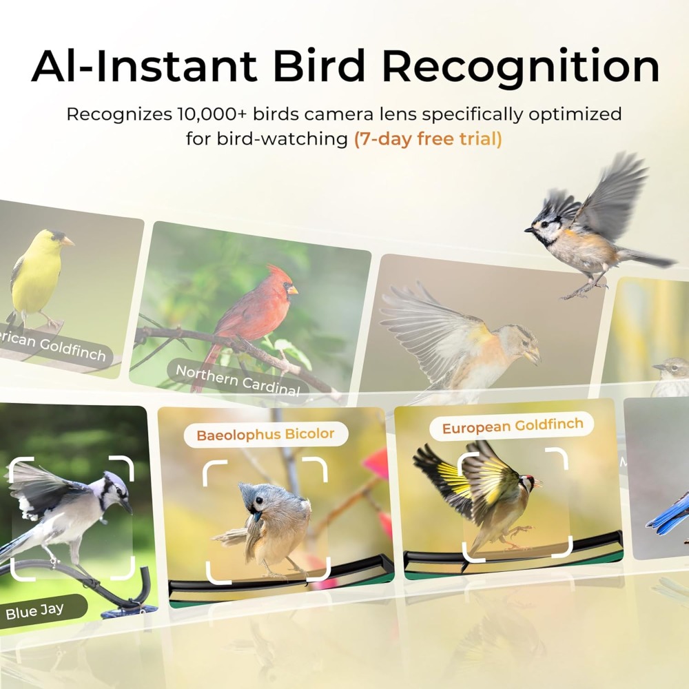 Smart Bird Feeder with Camera, - Smart Bird Feeder Camera reseña y precio