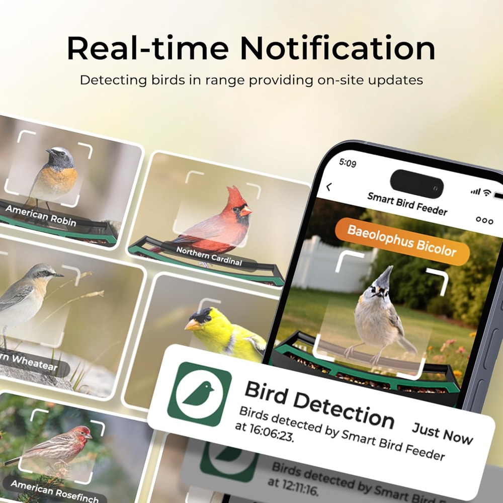 Smart Bird Feeder with Camera, - Smart Bird Feeder Camera reseña y precio