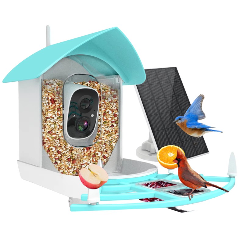 Smart Bird Feeder Night Vision - Smart Bird Feeder Camera reseña y precio