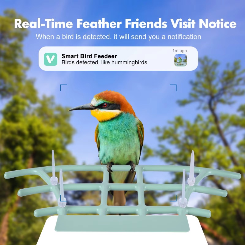 Smart Bird Feeder Night Vision - Smart Bird Feeder Camera reseña y precio