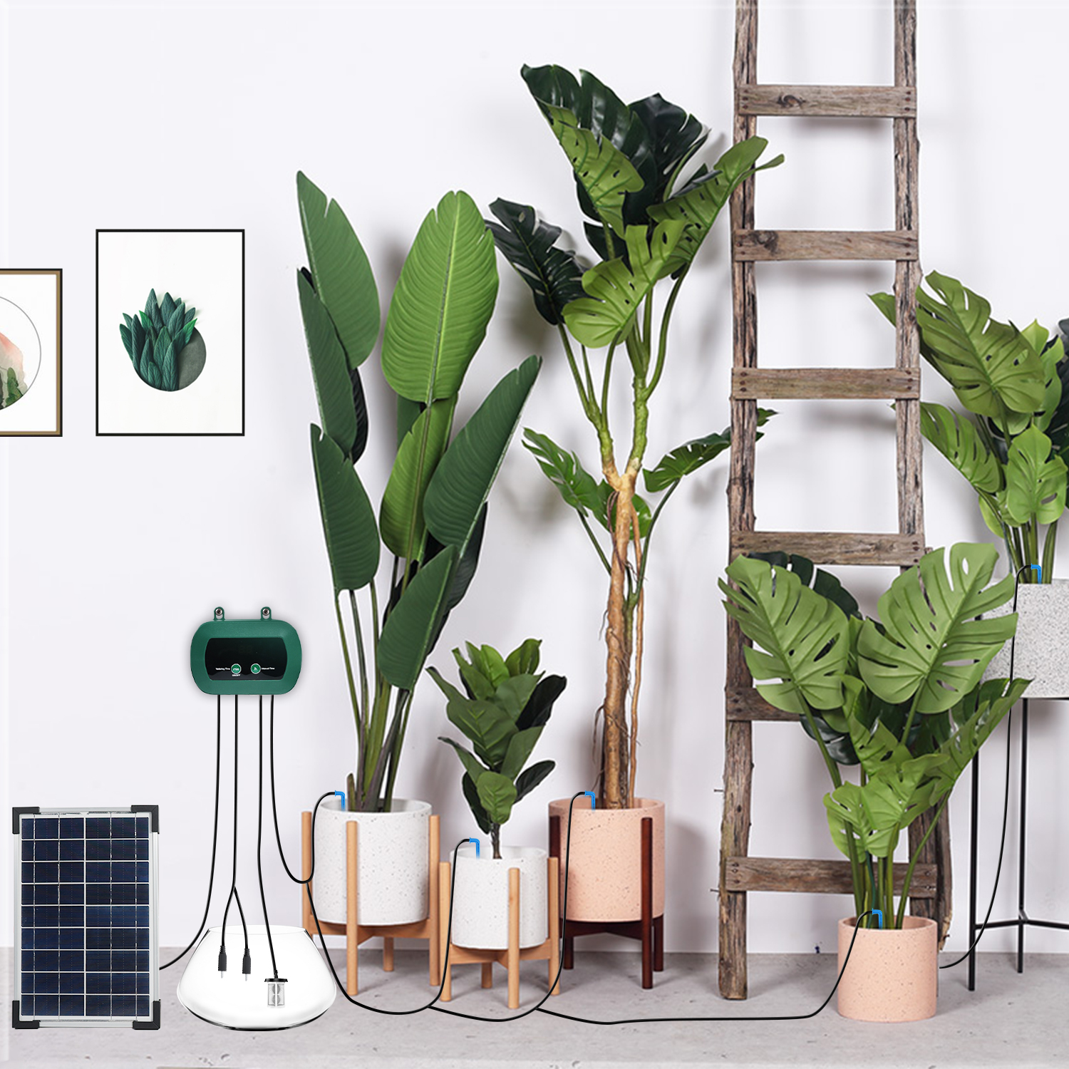 Solar Hydroponics Equipment  M - Smart Garden Irrigation reseña y precio