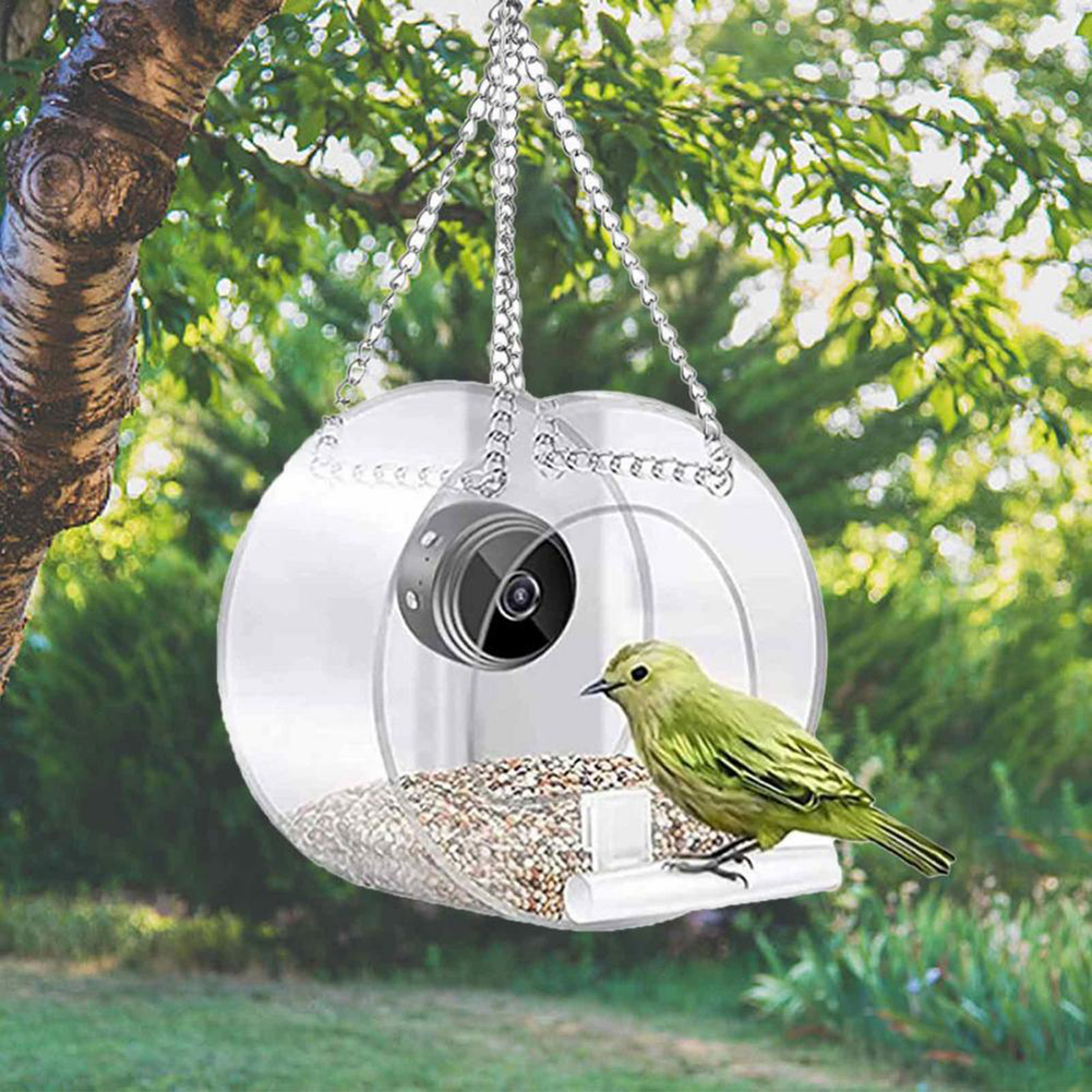Smart Feeding House Acrylic wi - Smart Bird Feeder Camera reseña y precio