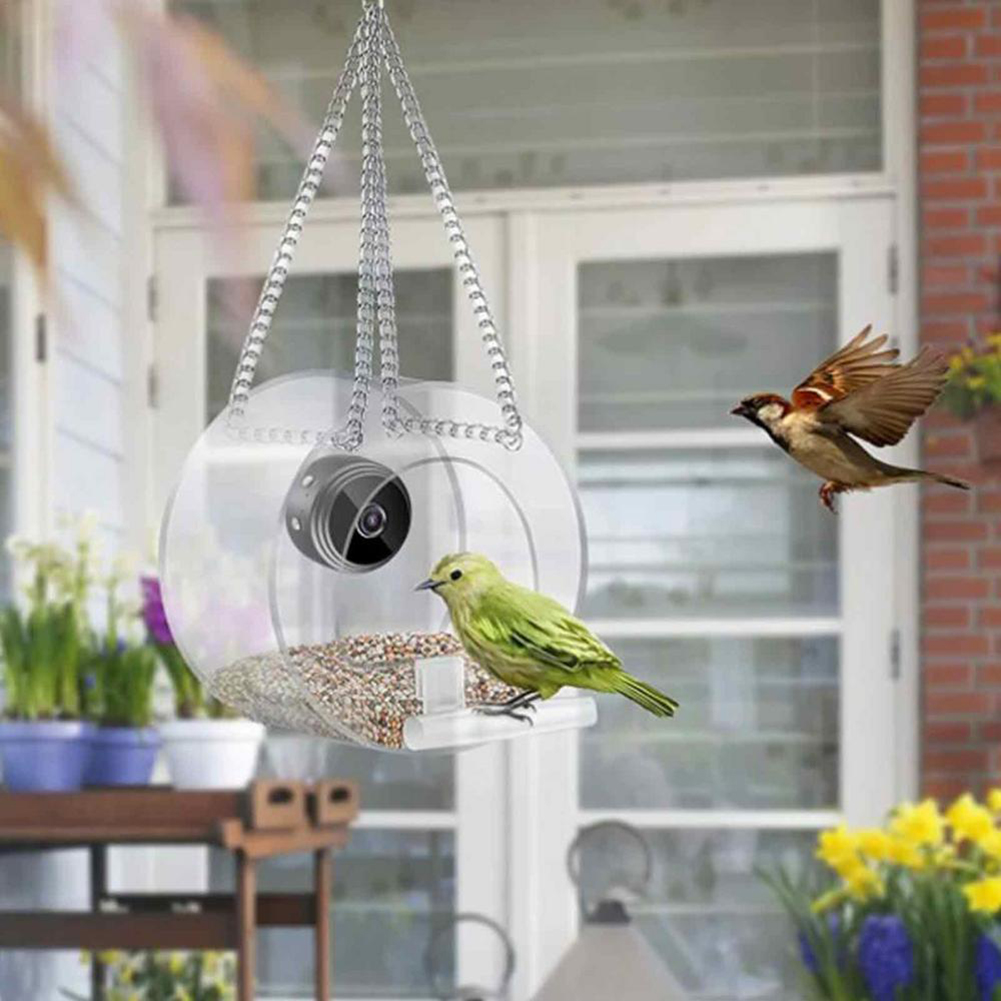 Smart Feeding House Acrylic wi - Smart Bird Feeder Camera reseña y precio