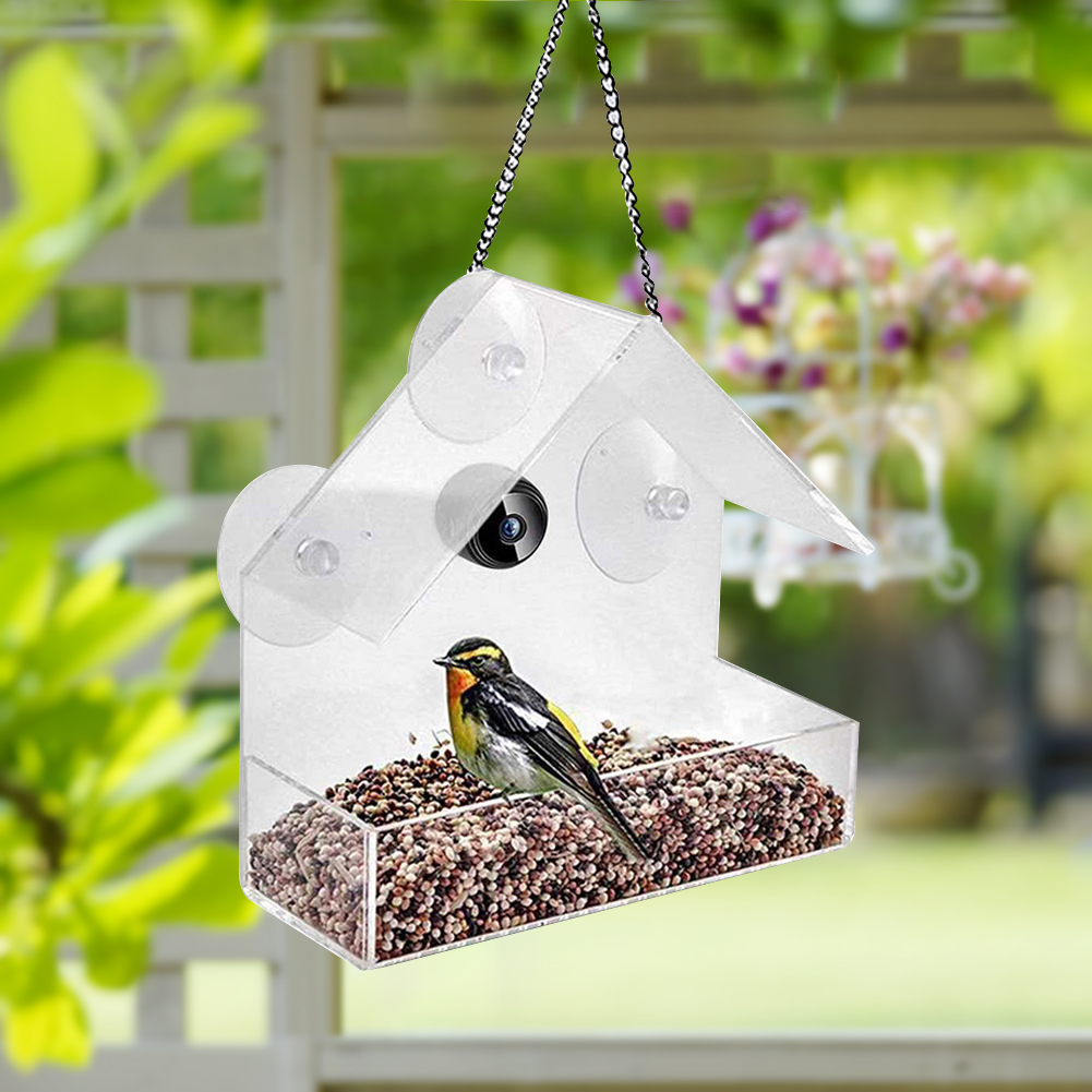 Smart Feeding House Acrylic wi - Smart Bird Feeder Camera reseña y precio