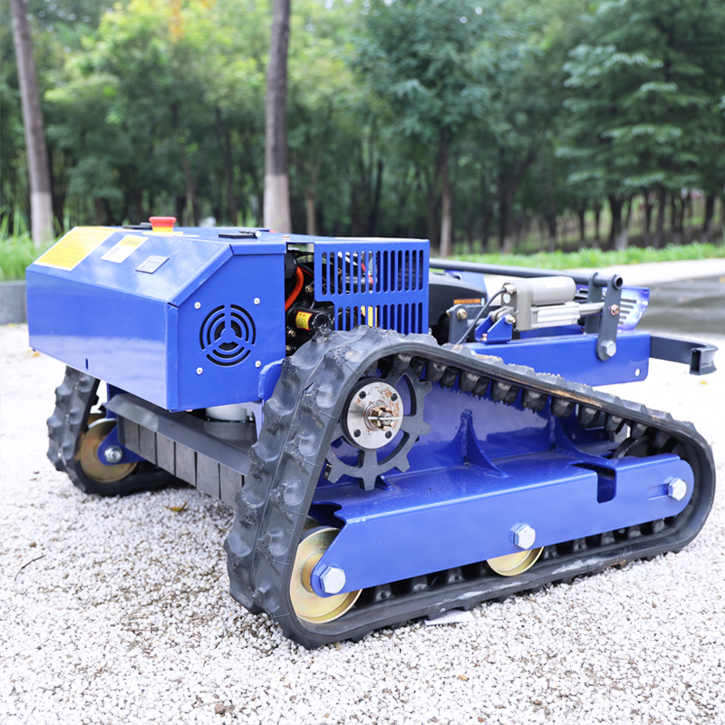 Customized Remote Control Elec - Smart Garden Weed reseña y precio