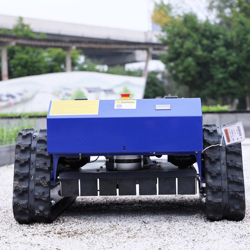 Customized Remote Control Elec - Smart Garden Weed reseña y precio